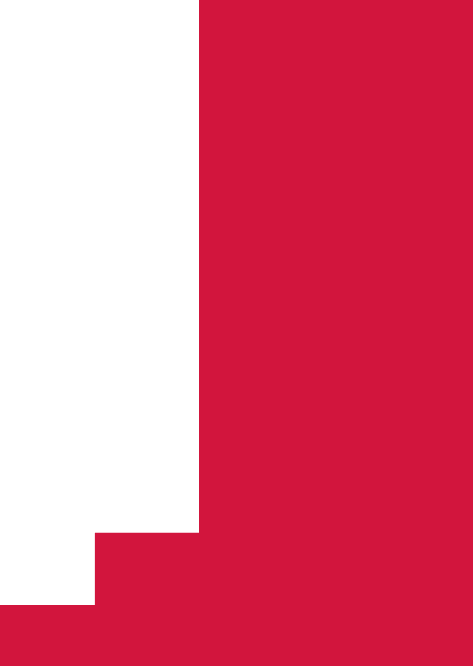 bg-svg